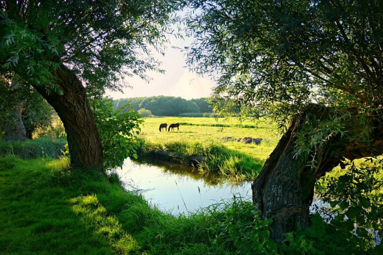 Succesvolle Nederlandse Pornosterren - Machtig