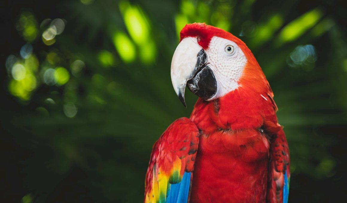 Welke Dieren Leven in de Jungle