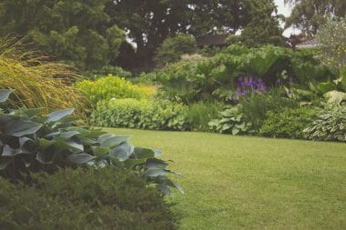 10 manieren om ook in de winter van je tuin te genieten