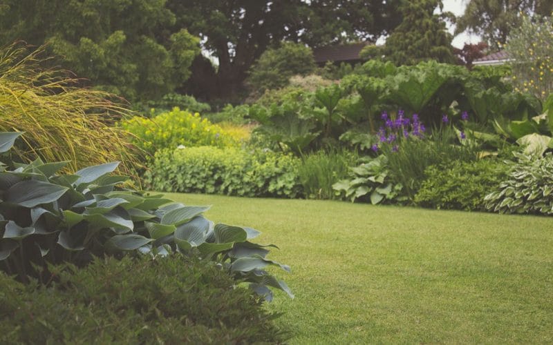 10 manieren om ook in de winter van je tuin te genieten